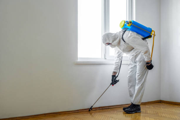 Best Wildlife Control Services  in Oconto, WI