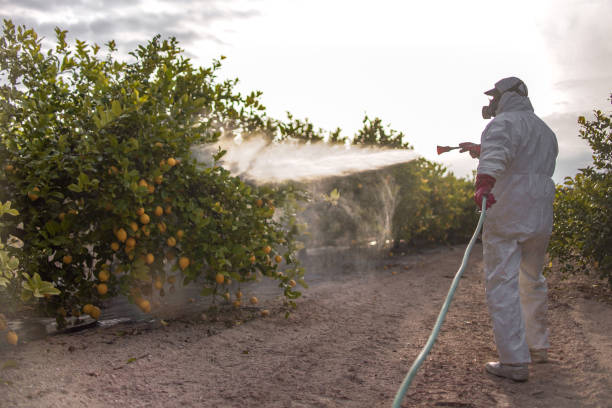 Wildlife Control Services in Oconto, WI