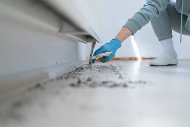 Reliable Oconto, WI Pest Control Solutions