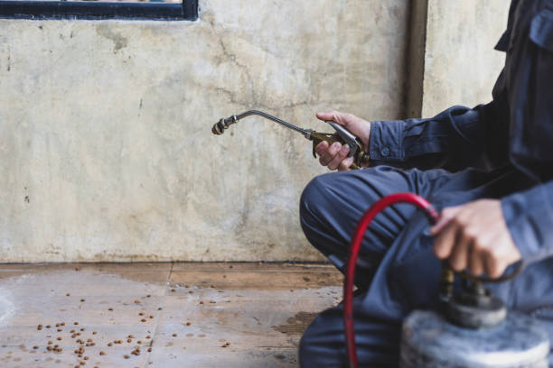 Best Affordable Pest Control Services  in Oconto, WI